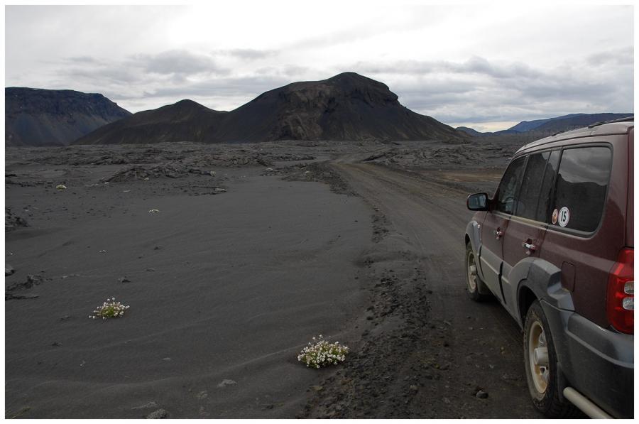 Silnice F 337 jižně ledovce Langjökull 7-0642