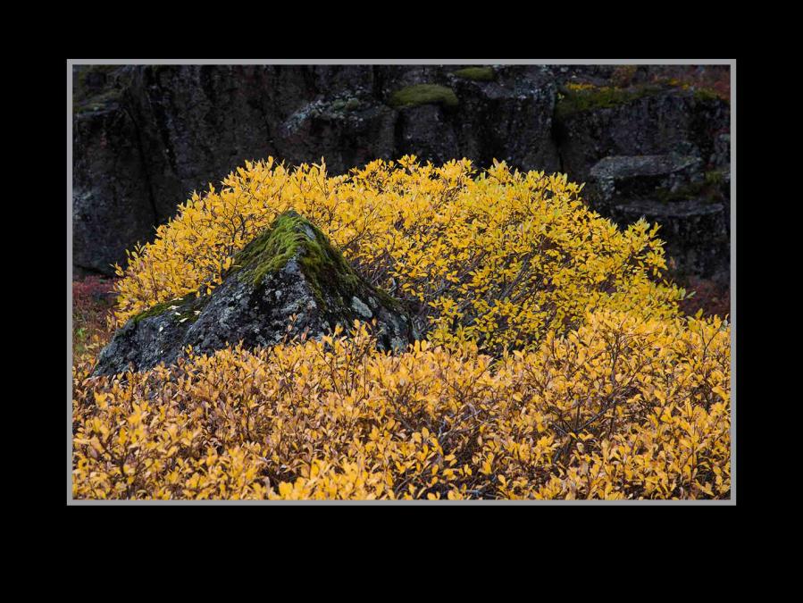 Tingvellir S12 7987